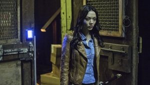 Arrow saison 3 Episode 19