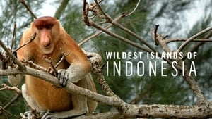 poster Wildest Islands of Indonesia