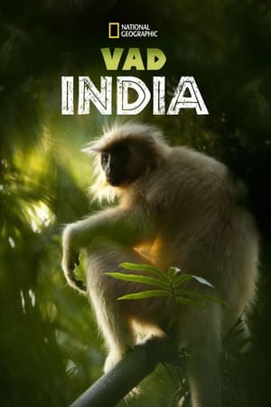 Image Vad India