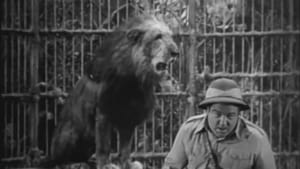 อ้วนผอมจอมยุ่ง แอฟริกาอลเวง (1949) Africa Screams