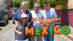 The Real Marigold on Tour Mexico