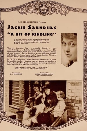 A Bit of Kindling poster