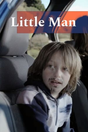 Poster Little Man (2013)