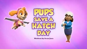 Image Pups Save a Hatch Day