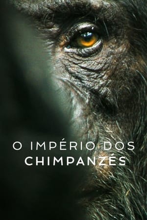 Image O Império dos Chimpanzés