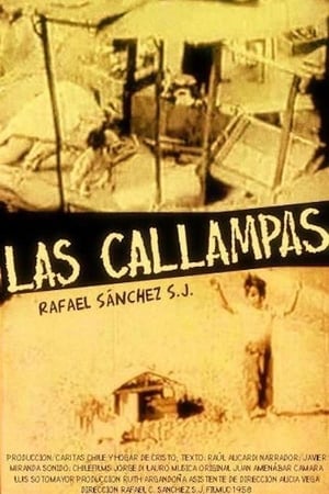 Image Las Callampas