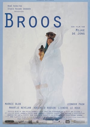 Poster Broos 1997