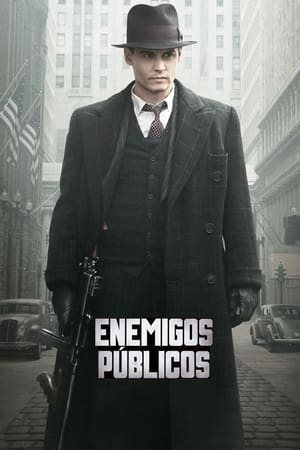Poster Enemigos públicos 2009