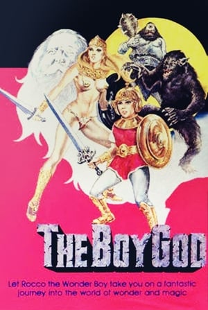 Poster Stone Boy (1982)