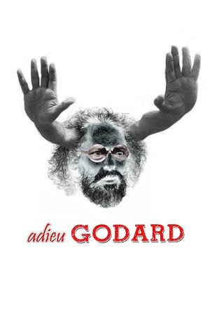 Adieu Godard 10