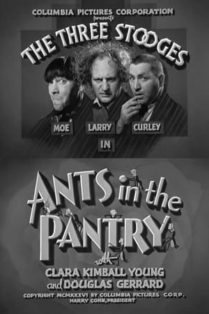 Poster Ants in the Pantry (1936)