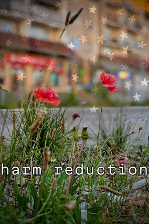 Harm Reduction