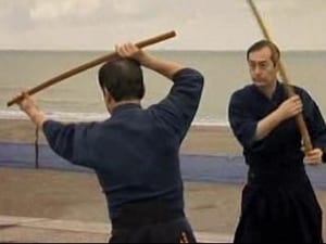 Mind, Body & Kick Ass Moves Special Forces, Japanese Sword Skills, Lion Dancing & Tai Chi Animal Style