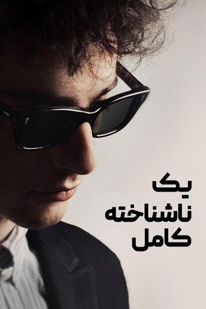 poster A Complete Unknown