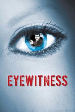 Image Eyewitness - Testimone nell’ombra
