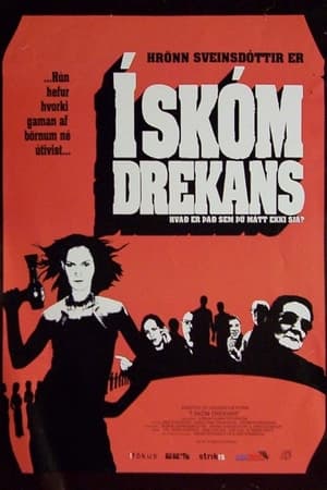 Poster In the Shoes of the Dragon (2002)