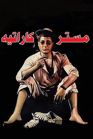 Mr. Karate 4