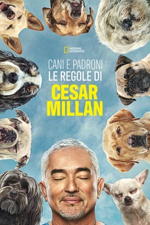 Image Cesar Millan: Better Human, Better Dog