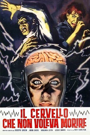 Image Il cervello che non voleva morire