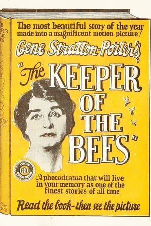 Poster The Keeper of the Bees 1925