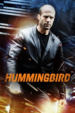 Hummingbird (2013)