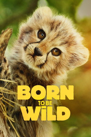 Born to Be Wild (2025)