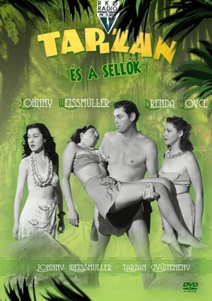 Image Tarzan és a sellők