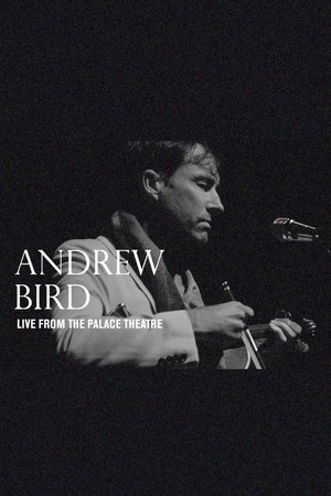 Poster Andrew Bird: Live From The Palace Theatre (2019)