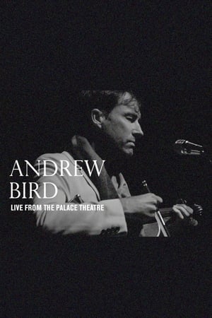 Image Andrew Bird: Live From The Palace Theatre