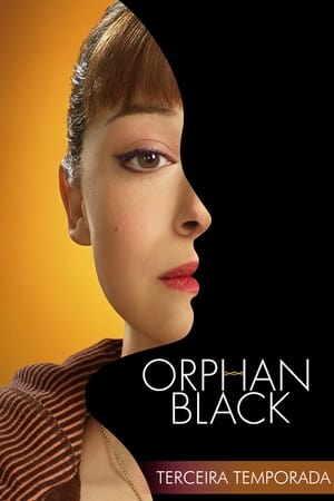 Orphan Black: Season 3