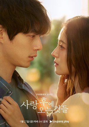 Nonton Drama Korea What Comes After Love (2024)
