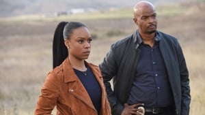 Lethal Weapon: 3×13