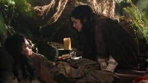 Once Upon a Time: 2×20