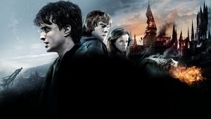Harry Potter and the Deathly Hallows: Part 2 (2011)