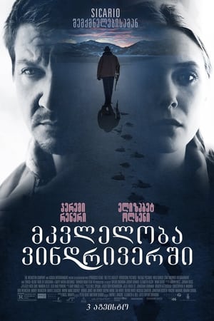 Poster მკვლელობა ვინდრივერში 2017