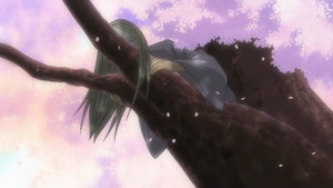 The Man Amidst the Rows of Cherry Trees