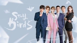 Stray Birds อลวนคนไอที (2021)