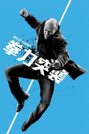 Poster 怒火保镖 2015