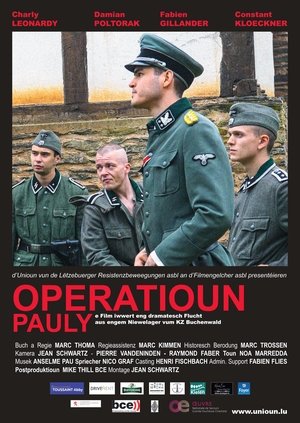 Opaeration Pauly (2024)