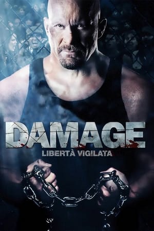 Poster Damage - Libertà vigilata 2009