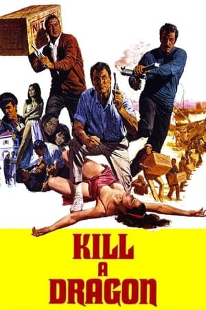 Kill a Dragon poster