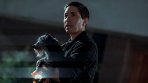 Coyotes (2025) Hindi Dubbed CAMRip