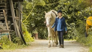 Wendy – Un cavallo per amico (2017)