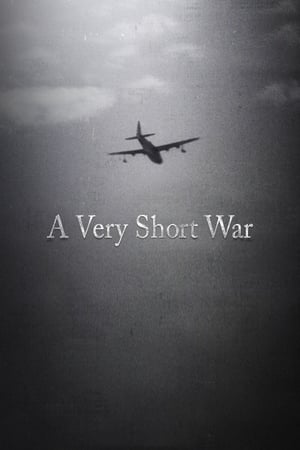 A Very Short War (2010)