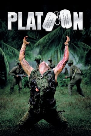 Poster Platoon 1986
