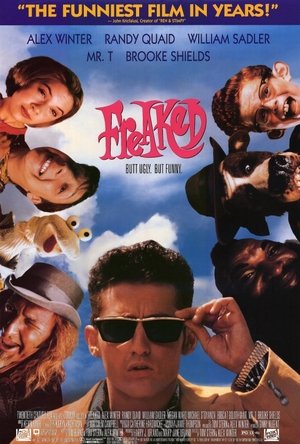 <Images posters
