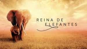 Captura de The Elephant Queen (2018) Dual 1080p