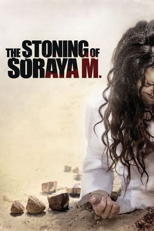 Poster La verdad de Soraya M. 2009