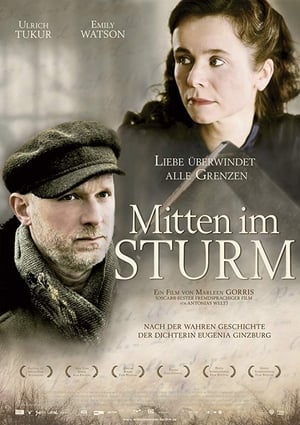 Poster Mitten im Sturm 2009
