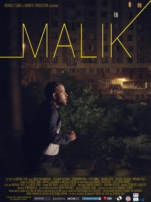 Poster Malik (2018)